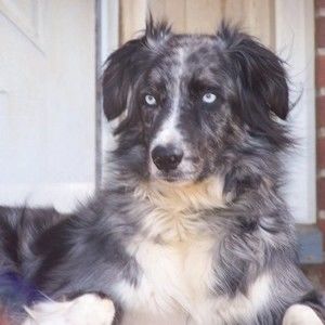 Meet your Posher, Anne